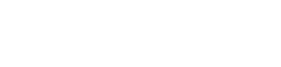 Schlage