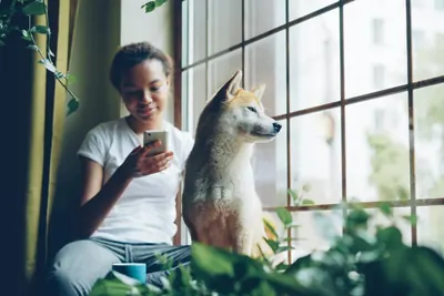 Apartment resident sitting by a window checking a community alert on her smartphone